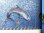 Glass_Tile_Mosaic_Dolphin